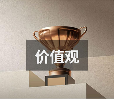 沈陽網站建設